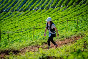 BIB: 
                            <button type="button" onclick="openModal(19161841)" class="btn btn-primary btn-sm float-right btn-popup" data-toggle="modal" data-target=".modal-high-quality">
                        <i class="fas fa-shopping-cart"></i> Add to Cart
                    </button>
                                            <button type="button" onclick="isThisMe(19161841, true)" class="btn btn-success btn-sm float-right btn-popup btn-isme hidden" data-toggle="tooltip" data-placement="bottom" title="นี่คือรูปของคุณใช่ไหม คลิกที่นี่เพื่อเอาเข้าอัลบั้ม">
                        <i class="fas fa-plus"></i> Add to album
                    </button>
                    <button type="button" onclick="isThisMe(19161841, false)" class="btn btn-warning btn-sm float-right btn-popup btn-isnotme hidden">
                        <i class="fas fa-ban"></i> Remove from album
                    </button>